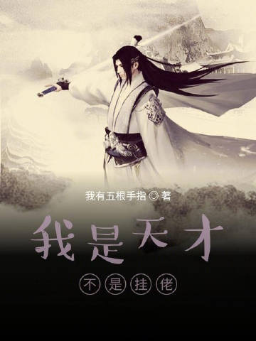 我是天才不是挂佬