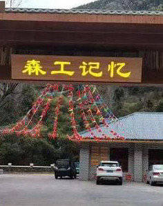 森工记忆